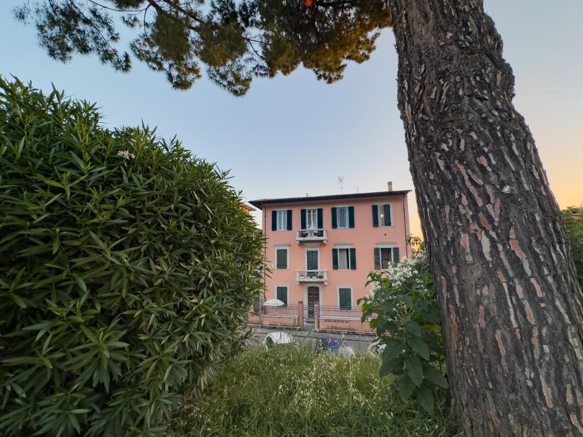 La Casa Di Eli Appartamenti ピサ エクステリア 写真